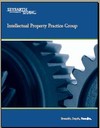 Intellectual Property Brochure