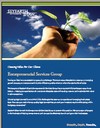 Entrepreneurial Services Group Brochure