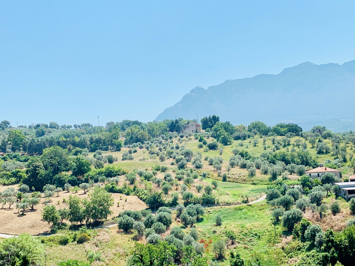 Picturesque landscape with grassy hills and with mountain in background